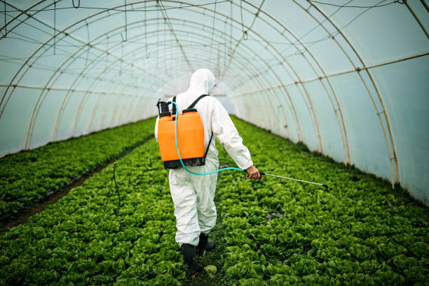 Best Residential Pest Control  in Cerritos, CA