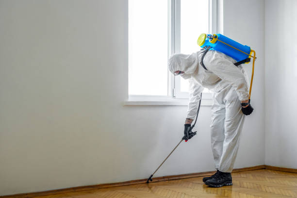 Best Commercial Pest Control Services  in Cerritos, CA