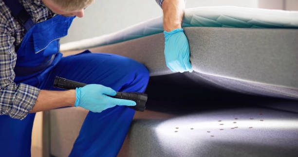 Best Bed Bug Extermination  in Cerritos, CA