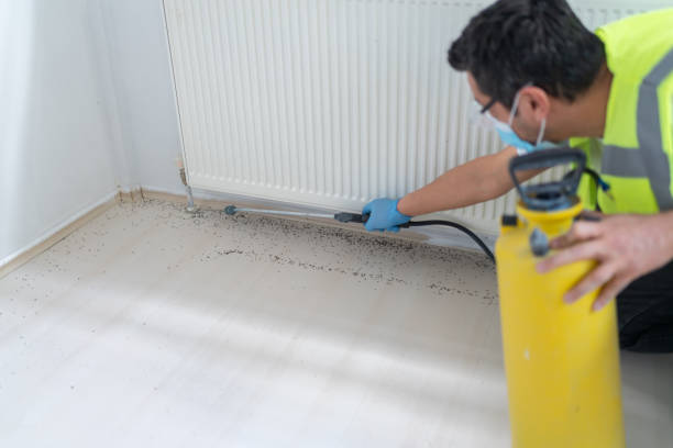 Best Pest Removal Services  in Cerritos, CA
